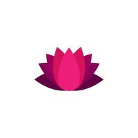 Herb, lotus vector icon