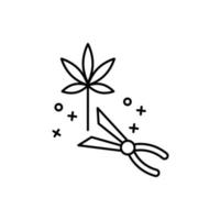 Harvest marijuana vector icon