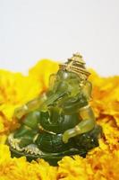 Emerald green Ganesha Statue god is the Lord of Success God of Hinduism on Marigold flowers Isolated on white background. photo