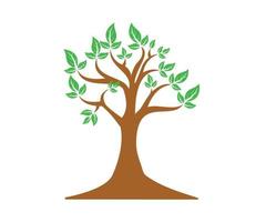 Tree icon design vector template