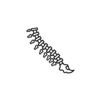 Backbone lumbar spine vertebra vector icon