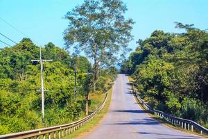 Curve road in the mountain and forest, country road in Thailand photo