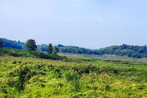 Landscape of green meadow on the mountain with blue sky and clond photo
