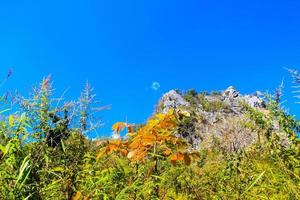Beautiful Landscape of rocky Limestone Mountain and green forest with blu sky at Chiang doa national park in Chiangmai, Thailand photo