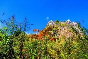 Beautiful Landscape of rocky Limestone Mountain and green forest with blu sky at Chiang doa national park in Chiangmai, Thailand photo