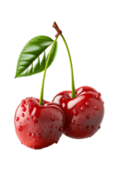 Fresh juicy cherries with water drops isolated on transparent background. Generative AI. PNG