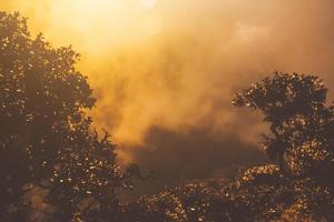 Golden light in Forested and mountain with sunrise in morning mist.Fog cover the jungle hill in Thailand photo