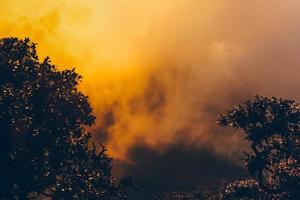 Golden light in Forested and mountain with sunrise in morning mist.Fog cover the jungle hill in Thailand photo