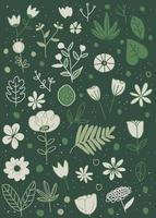 tropical botanical doodle hand drawn vector