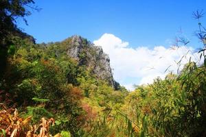 verde bosque y selva con azul cielo en montaña. foto