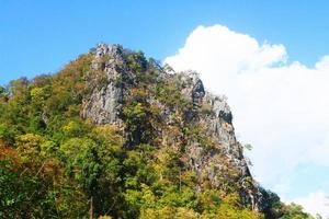 Green forest and jungle with blue sky on Mountain. photo