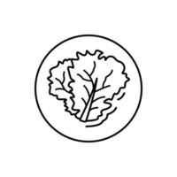 Lettuce, vegan vector icon