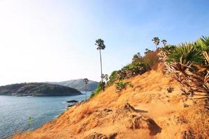 Beautiful seascape with sky twilight of sunset and Palm tree with Dry grass field on mountain of Phrom Thep Cape in Phuket island, Thailand. photo