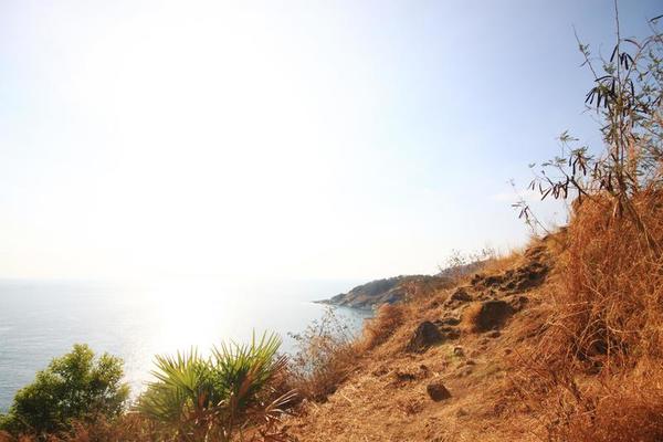 Dry Field Stock Photos, Images and Backgrounds for Free Download