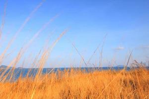 Beautiful seascape with sky twilight of sunset and sea horizon with Calm and blue sky.Dry grass field on mountain of Phrom Thep Cape is famous place in Phuket island, Thailand. photo