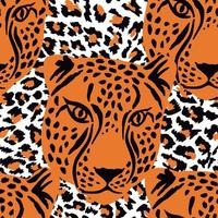 pattern seamless with leopard print and leopard heads vector