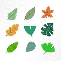 collection of different leaves. vector green leaves of different trees isolated at white background, hand drawn illustration.