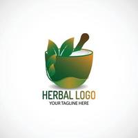 Herbal medicine logo template design, Herbal logo design vector. vector