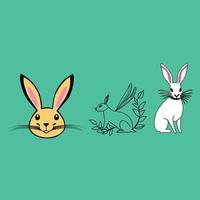 Different Types Of Hares Line Art Vector Coloring Pages