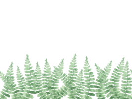 The seamless Border of Fern leaves watercolor png