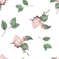 Seamless background of rose watercolor png