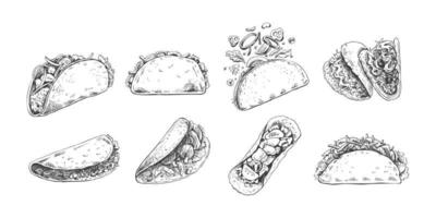 dibujado a mano bosquejo de burritos y tacos colocar. diferente tipos de burritos y tacos Clásico ilustración. elemento para el diseño de etiquetas, embalaje y postales vector