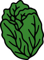 vegetal desenhando isolado png