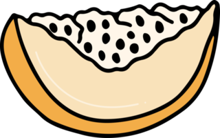 Cantaloup-Melone Zeichnung isoliert png