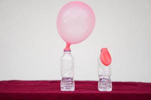 Science experiment , pink inflated balloons and flat balloon  on top of transparent test bottles. Concept, science experiment about reaction of chemical substance, vinegar and baking soda. photo