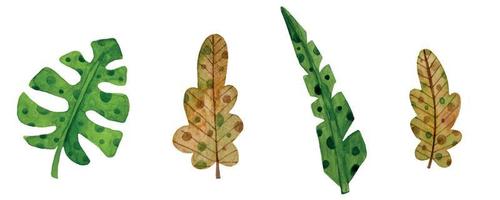acuarela mano dibujado conjunto de hojas botánico trópico y bosque vector