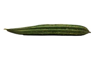 Green Luffa acutangula or Oyong  isolated on white background photo