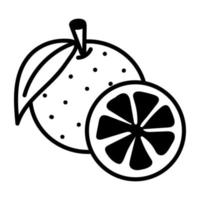 Trendy Orange Fruit vector