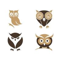 Owl logo icon design animal and simple business vector