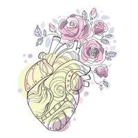 Mechanical Anatomical human heart with flowers roses line art drawing.Floral heart liner drawing with abstract colored shapes vector illustration.Mechanical human organ for print,emblem,logo,tattoo