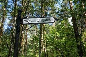 Blurred summer forest and plate with inscription on Rusian pathway of health in foreground close up photo