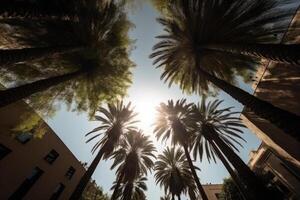 Palm tree silhouettes against sky, bottom view. photo