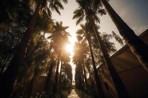 Palm tree silhouettes against sky, bottom view. photo