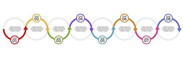 infografia diseño modelo y íconos con 8 opciones o 8 pasos vector