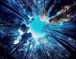 Low-angle view of trees in the forest. View of blue sky through green treetops, springtime season background, low angle view. . photo