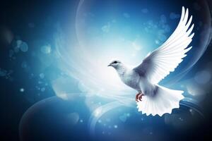 International Day of Peace image photo