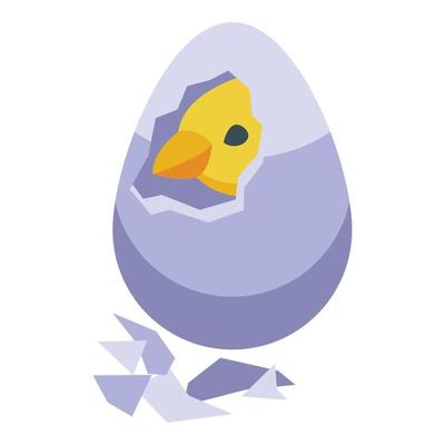 Cracked egg icon isometric vector. Chicken bird