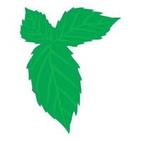 Green leaf icon isometric vector. Realistic bright green leaf of tree or bush vector