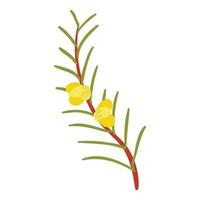 Flowering branch icon isometric vector. Branch shrub or tree with yellow flower vector