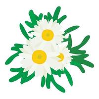 manzanilla flor icono isométrica vector. brillante manzanilla flor con verde hoja vector
