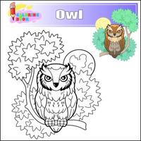 cute cartoon owl coloring book vector