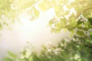 A beautiful spring background with leaves and little flowers on a light background created with technology. photo