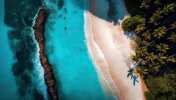 Aerial Drone Photo of waves crashing on the beach. Top view aerial drone shot of beautiful white sand beach with green coconut trees and crystal clear sea water in summer.