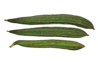 Some green Luffa acutangulas or Oyong isolated on white background photo