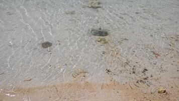 Beach Sand with Sea Water Background photo