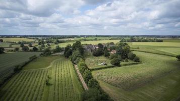 Vineyard in Suffolk aerial view photo